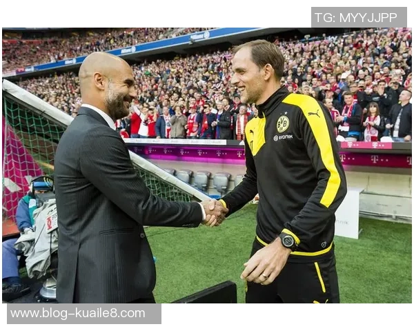 切西尔与执刺的巅峰对决谁能笑到最后揭开战斗的神秘面纱 切西尔与执刺的巅峰对决谁能笑到最后揭开战斗的神秘面纱