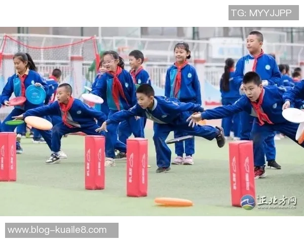 张娜独家分享飞盘技巧与心得体会助你轻松掌握这项运动的乐趣与魅力